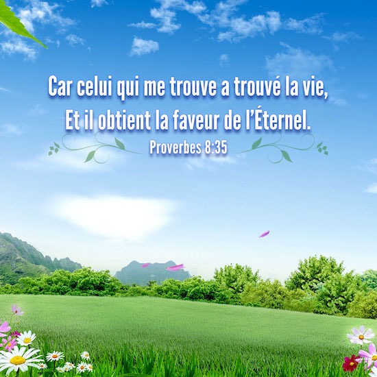 Car celui qui me trouve a trouvé la vie, Et il obtient la faveur de l’Éternel. Proverbes 8：35