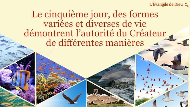 Le cinquième jour, des formes variées et diverses de vie démontrent l’autorité du Créateur de différentes manières