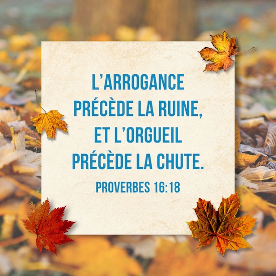L’arrogance précède la ruine, Et l’orgueil précède la chute. Proverbes 16：18