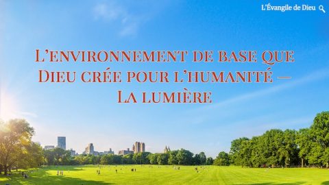 L’environnement de base que Dieu crée pour l’humanité — La lumière