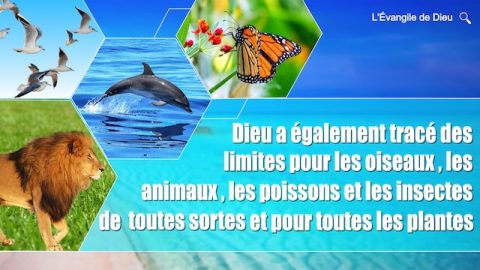 Dieu a également tracé des limites pour les oiseaux, les animaux, les poissons et les insectes de toutes sortes et pour toutes les plantes
