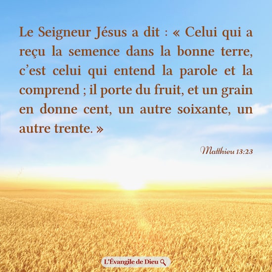 Évangile du jour — Graines et fruits