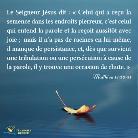 Matthieu 13:20-21