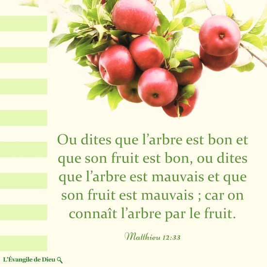 Évangile du jour — Matthieu 12-33
