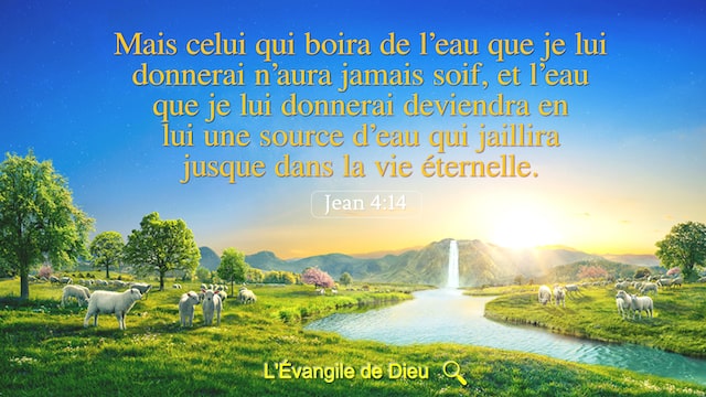 Citation De La Vie Bible