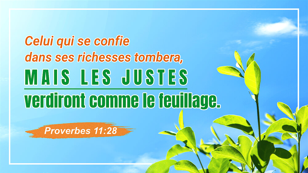 11 Versets bibliques sur l'argent