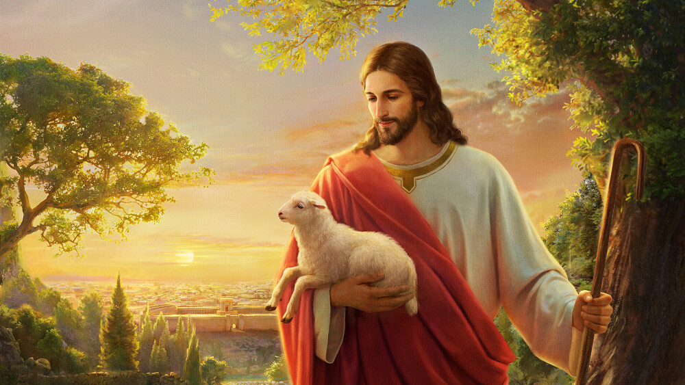 La parabole de la brebis égarée | L'Évangile de Dieu