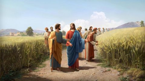 Le Fils de l'homme est Maître du sabbat (Partie 1)