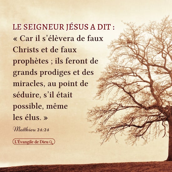 Matthieu 24:24 – Comment discerner les faux Christs ?