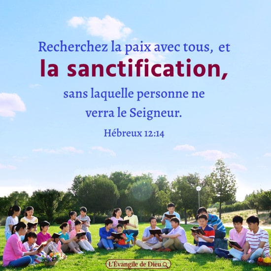 Explication de Hébreux 12:14 – Qui peut entrer dans le royaume des cieux ?