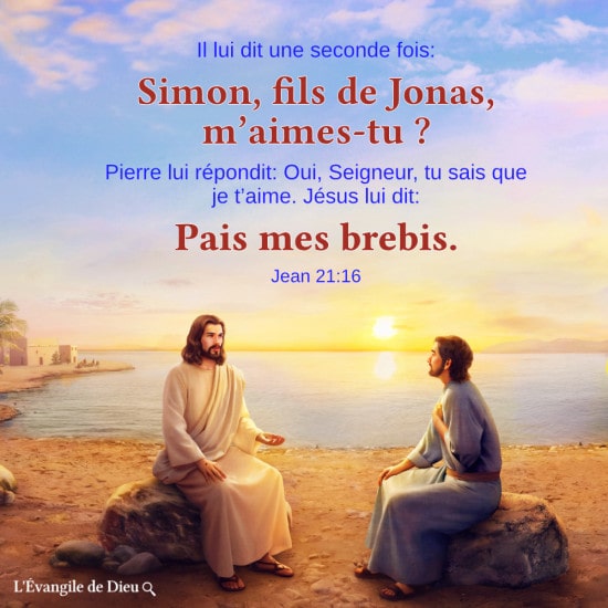 La volonté dont le Seigneur Jésus a demandé à Pierre encore et encore