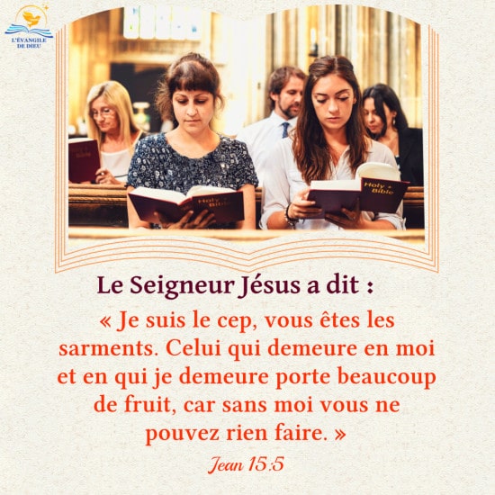 Explication de Jean 15:5 – Parabole sur la vigne et les sarments