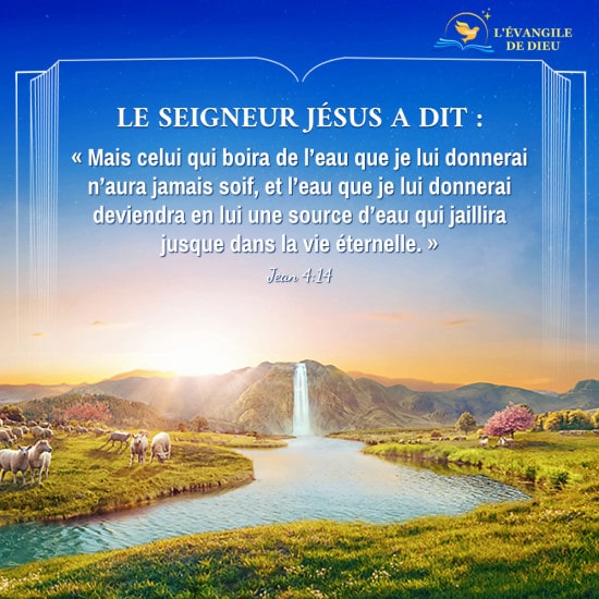 Évangile du jour — Dieu accorde à l’homme le chemin de la vie éternelle