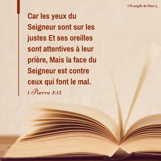 Évangile du jour — Dieu aime l’homme juste