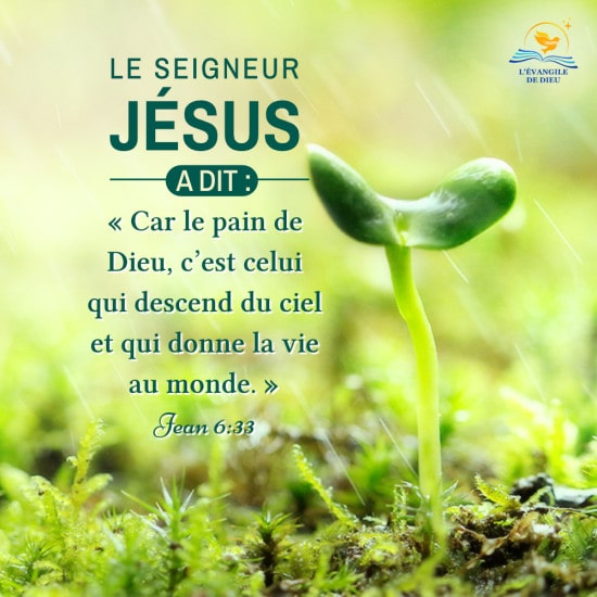 Jean 6:33 — La Parole de Dieu est la nourriture de la vie