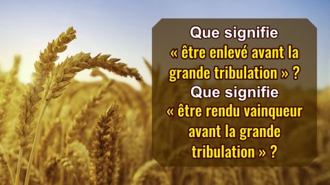 Que signifie « être enlevé avant la grande tribulation » ? Que signifie « être rendu vainqueur avant la grande tribulation » ?