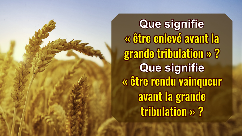 Que signifie « être enlevé avant la grande tribulation » ? Que signifie « être rendu vainqueur avant la grande tribulation » ?
