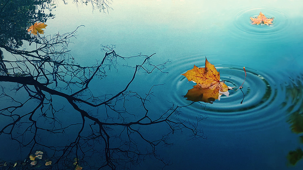 La nature et les conséquences du problème qu’il y a à reconnaître Dieu seulement, sans reconnaître la vérité