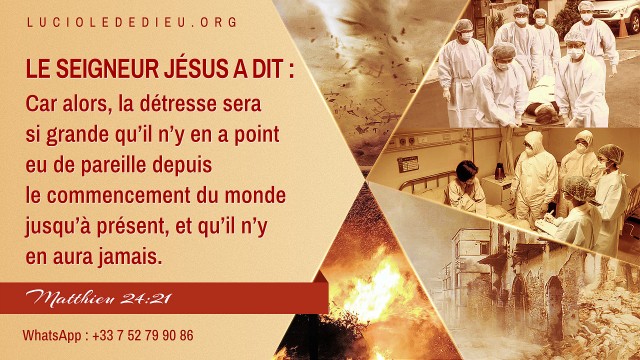 Les prophéties bibliques sur les signes de la fin des temps : Le chemin pour accueillir le retour du Seigneur