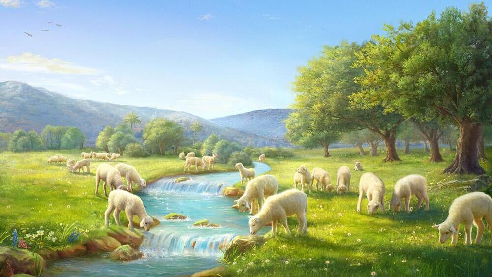 On gagnera le chemin de la vie éternelle une fois pardonné