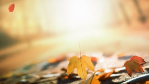 Quelles personnes Dieu sauve-t-Il ? Quelles personnes élimine-t-Il