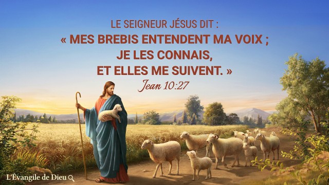 Jean 10 27,Versets bibliques sur la fin des temps pour vous aider à accueillir le retour du Seigneur