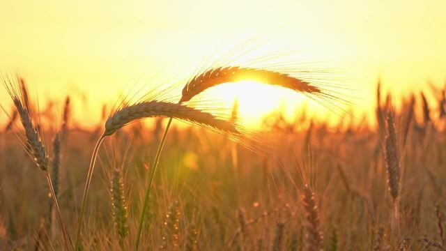 Que signifie être enlevé avant les catastrophes ? Et que signifie devenir des vainqueurs avant les catastrophes?