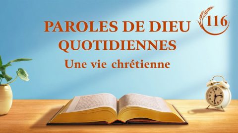 Le mystère de l’incarnation (4)