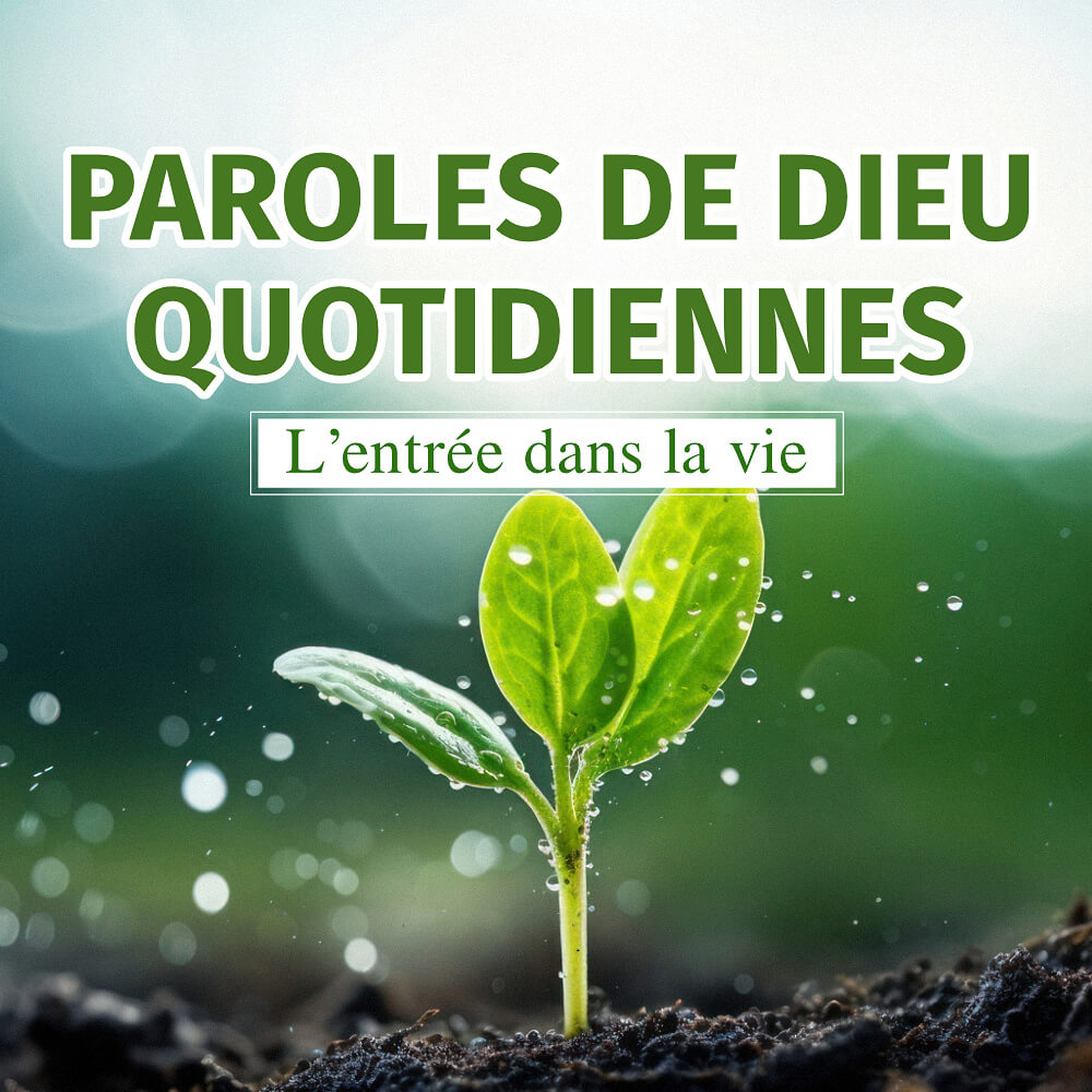 Paroles de Dieu quotidiennes : L'entrée dans la vie | Extrait 399